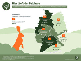 Grafik Feldhasen Deutschland