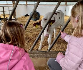 Kinder in einem Kuhstall
