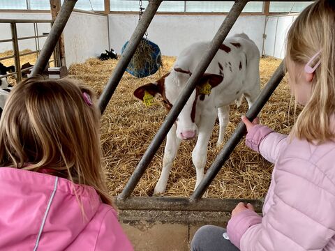 Kinder in einem Kuhstall