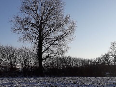 Knick in Schleswig-Holstein und Schneee