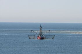 Krabbenkutter in der Nordsee