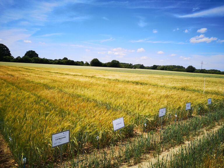 Versuchsdatenbank der Landwirtschaftskammer SH ...