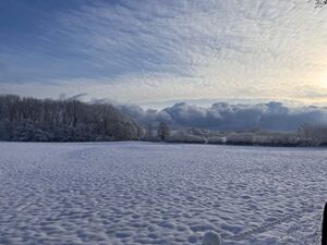 Ein schneebedecktes Feld in Schleswig-Holstein