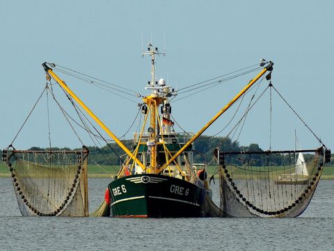 Ein Fischkutter 
