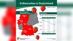 Statistik Erdbeeren. 