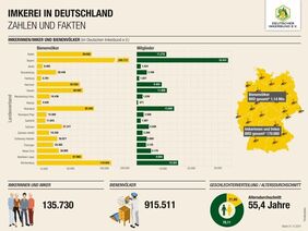 Honigbienenhaltung nach wie vor beliebt Honigbienenhaltung nach wie vor beliebt