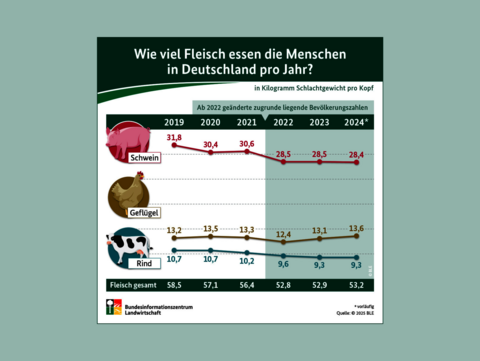 Infografik Fleischverzehr
