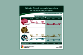 Infografik Fleischverzehr